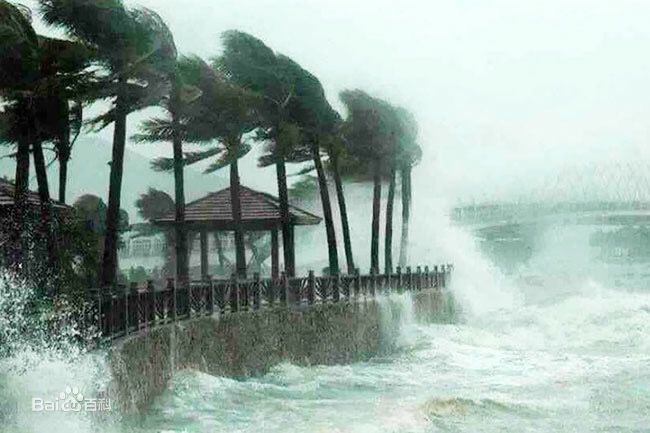 净水器租赁:台风“利奇马”最大风力16级在浙江省温岭市沿海登陆！