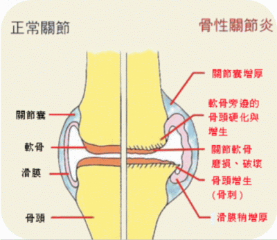 净水器租赁